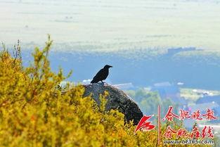 望穿秋水,探寻无尽思念的深情之旅