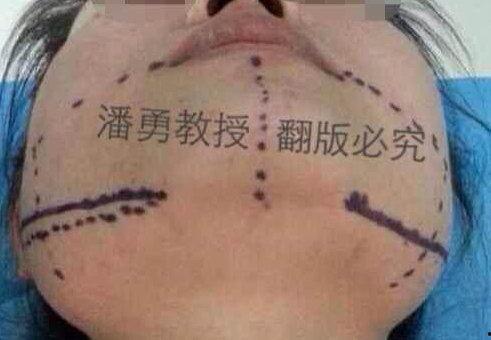 轮廓中的真相,探寻事实的真相面纱